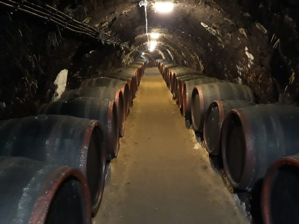 Rákóczi Pince – Tokaj,&nbsp;Hungary