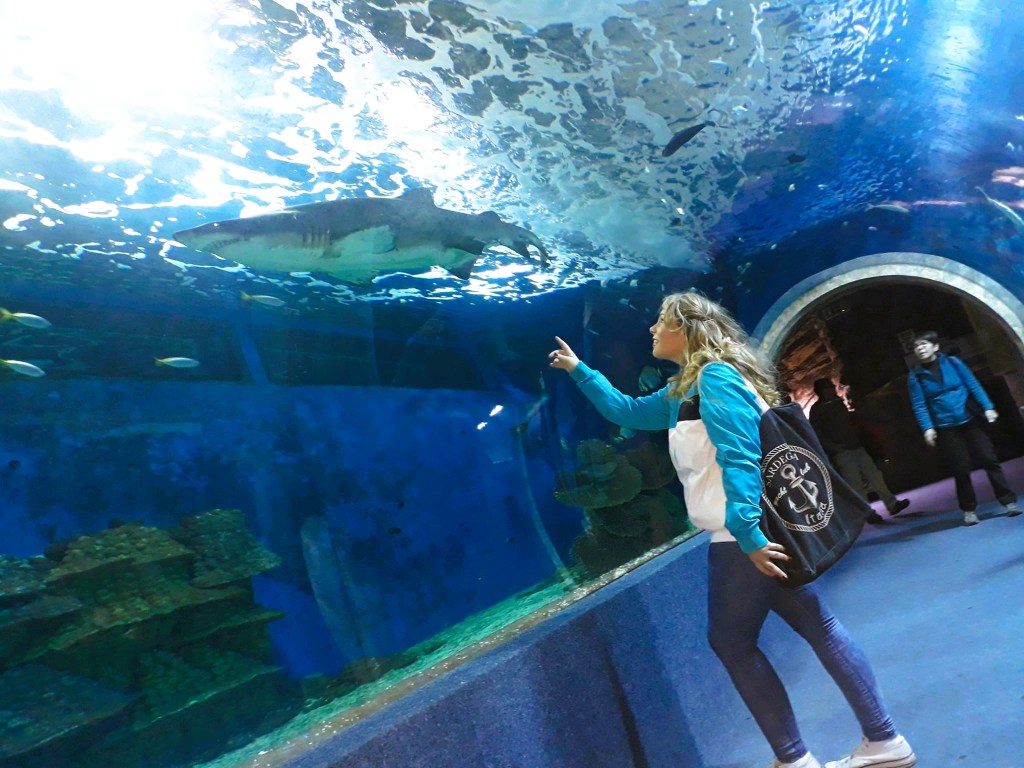 Sóstó Zoo – Nyíregyháza Sóstó,&nbsp;Hungary