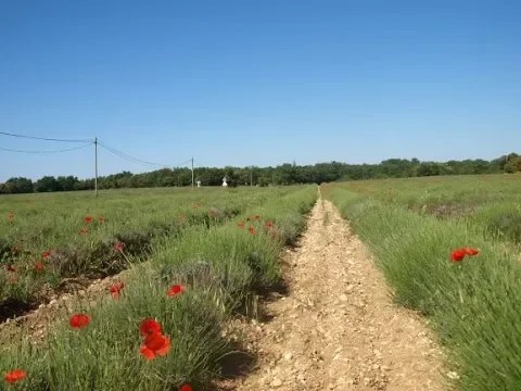 Aixcursions – Aix-en-Provence, France