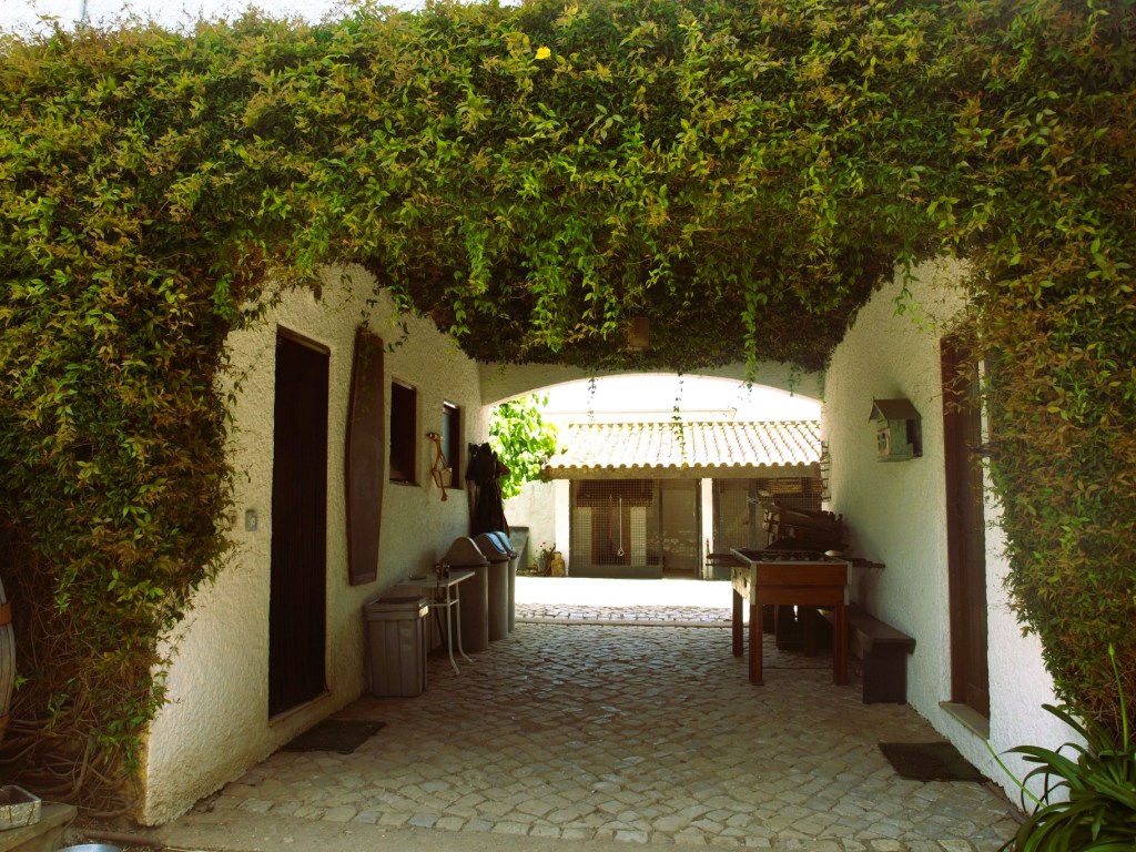 Quatro Anas Farmhouse – Valongo do Vouga, Portugal & Quatro Anas Hostel – Aveiro,&nbsp;Portugal